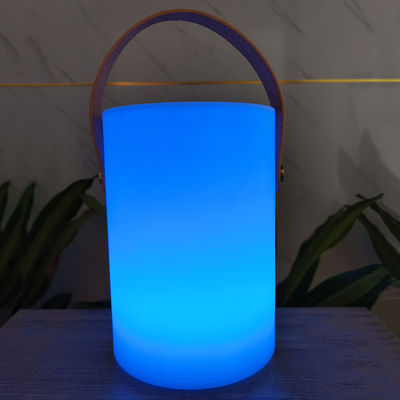 Lampada portatile da giardino decorativa 16 colori di cambio 3500K CCT