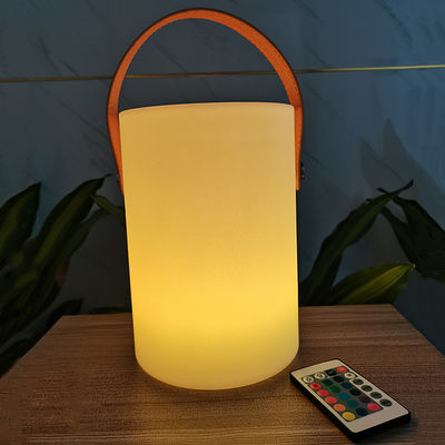 Lampada portatile da giardino decorativa 16 colori di cambio 3500K CCT