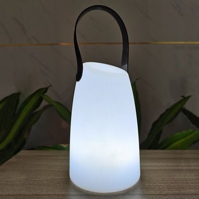 Lampada portatile a LED in plastica con telecomando wireless per giardino