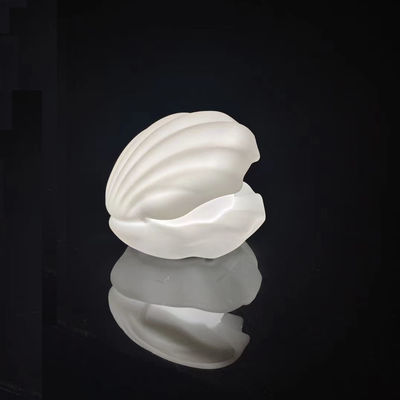 16 colori che cambiano luce notturna wireless RGB LED luce conchiglia