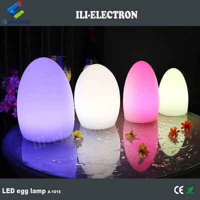 Lampada LED in plastica a controllo remoto IP65 impermeabile per la decorazione delle vacanze