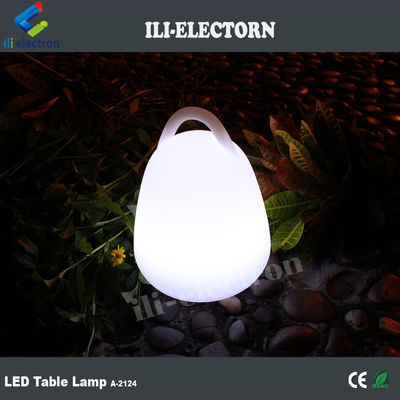 luci di accento a LED in plastica impermeabile Lampade da giardino esterne con 16 colori